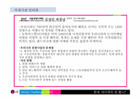 한국의 세계적인 랜드마크 육성 방안-7