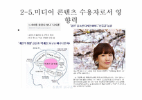 [미디어 수용자론] 인터넷 수용자 분석-디시인사이드를 중심으로-11