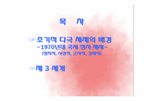 [정치외교학] 초기적 다극 체제-남북대결-2