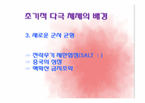 [정치외교학] 초기적 다극 체제-남북대결-6