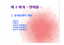 [정치외교학] 초기적 다극 체제-남북대결-10