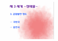 [정치외교학] 초기적 다극 체제-남북대결-12