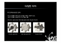[심리학] 다중인격과 다양한 자아-12