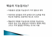 웩슬러 지능검사의 특징과 활용-7