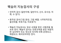 웩슬러 지능검사의 특징과 활용-8
