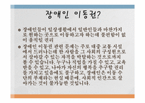 [행정학] 장애인 이동권의 실태와 행정학적 해결방안-3