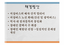 [행정학] 장애인 이동권의 실태와 행정학적 해결방안-16