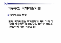 [정치외교학] 국제레짐 이론-17