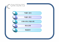[문헌정보학] 악플의 피해사례와 해결방안-2
