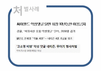 [문헌정보학] 악플의 피해사례와 해결방안-11