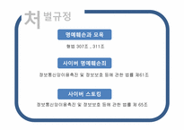[문헌정보학] 악플의 피해사례와 해결방안-12