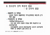 [신문방송학] 인터넷 음란물이 청소년 성 의식에 미치는 영향-7