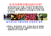 [식품영양학] 유전자변형식품(GMO) 장단점과 논란점-3