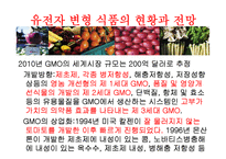 [식품영양학] 유전자변형식품(GMO) 장단점과 논란점-4