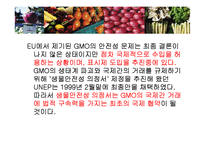 [식품영양학] 유전자변형식품(GMO) 장단점과 논란점-5