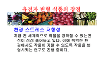 [식품영양학] 유전자변형식품(GMO) 장단점과 논란점-9