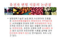 [식품영양학] 유전자변형식품(GMO) 장단점과 논란점-15
