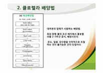 [식품영양] 클로렐라(Chlorella) 기능성 기전과 식품에 대해서-4
