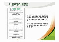 [식품영양] 클로렐라(Chlorella) 기능성 기전과 식품에 대해서-5