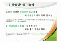 [식품영양] 클로렐라(Chlorella) 기능성 기전과 식품에 대해서-6