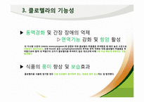 [식품영양] 클로렐라(Chlorella) 기능성 기전과 식품에 대해서-7