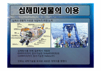 [생태학] 심해미생물 이용방안-13