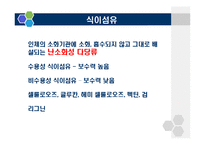 [식품학] 식이섬유 차전자피 제품과 효능-3