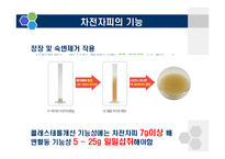 [식품학] 식이섬유 차전자피 제품과 효능-10