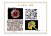 [자연과학] 미생물의 세계-6