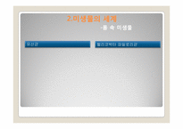 [자연과학] 미생물의 세계-10