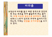 불교음악(범패)의 유래와 종류-16