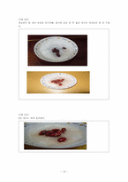 [교육과정 및 교육평가] 초,중,고 과목별 수행평가 분석하기-17