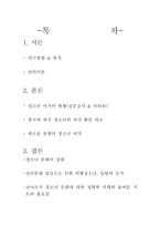 [교육학] 청소년 여가로 본 청소년 문화에 대한 탐구-2