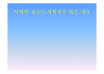 [교육학] 새터민 청소년을 위한 사회적응 캠프-3
