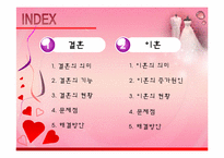 [가계경제론] 현대 사회의 결혼의 문제점과 해결방안-2