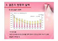 [가계경제론] 현대 사회의 결혼의 문제점과 해결방안-9