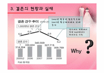 [가계경제론] 현대 사회의 결혼의 문제점과 해결방안-10
