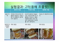 칫솔모양에 따른 치아세정능력 실험-19