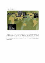현대자동차의 국제마케팅 사례-6