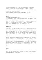 현대자동차의 국제마케팅 사례-10