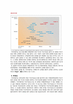 [국제경영] 기아자동차 경영사례 분석-3