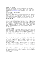ZARA(자라) 국내시장진출 마케팅과 새로운 전략제안-1