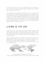 [글로벌마케팅] CAP(캐프)의 한국시장 진출 사례 분석-8