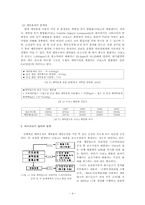 [환경경제학] 친환경 세탁소의 제안-4