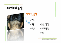 [조직행동론] 스트레스 관리-11