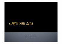 [마케팅관리] 댕기머리 재포지셔닝 전략-2