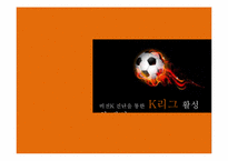 [경영컨설팅] 비젼K 진단을 통한 K리그 활성화 방안-2