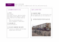 타타모터스 나노의 독일시장 진출을위한 분석-8