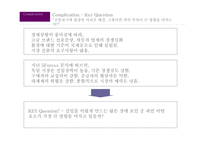 타타모터스 나노의 독일시장 진출을위한 분석-9