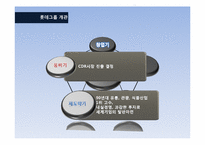 롯데의 TGI 인수합병-6